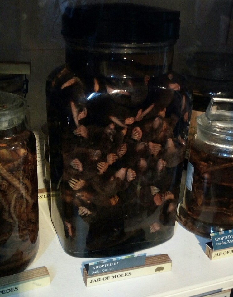 img_20170214_200157-809x1035