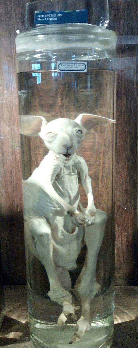 img_20170214_200319-585x1475