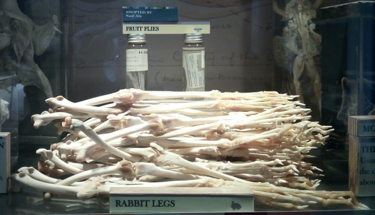 img_20170214_200409-1154x663