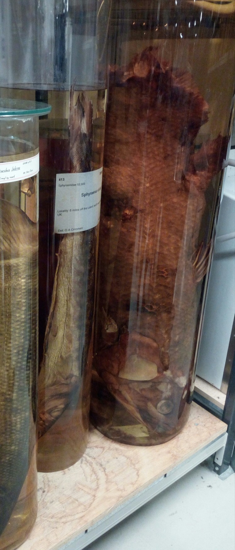 IMG_20170331_214755[1]